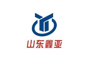Shandong Xinya Industrial Co., Ltd.