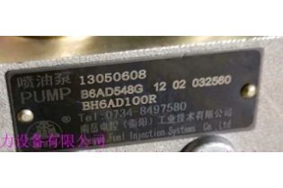 ТНВД B6AD548G 13050608 BH6PN120R WP6 Nanyue
