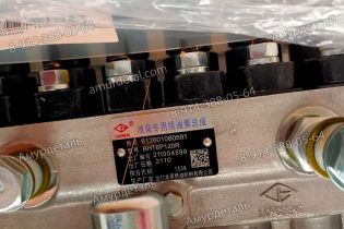 ТНВД 612601080591 BHT6P120R BP12U0 LongBeng WD10 WD615