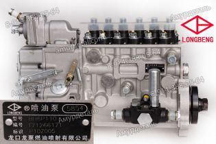 ТНВД P10Z005 BH6P110 C6121ZG57 LongBeng BP5854
