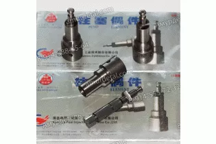 Плунжерная пара SAY100AD24 Nanyue U124 